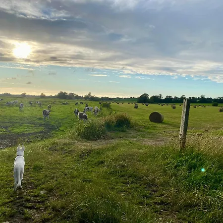 De Jeanne - Le Refuge Des Parachutistes - En Bordure Du Marais Neuville-au-Plain