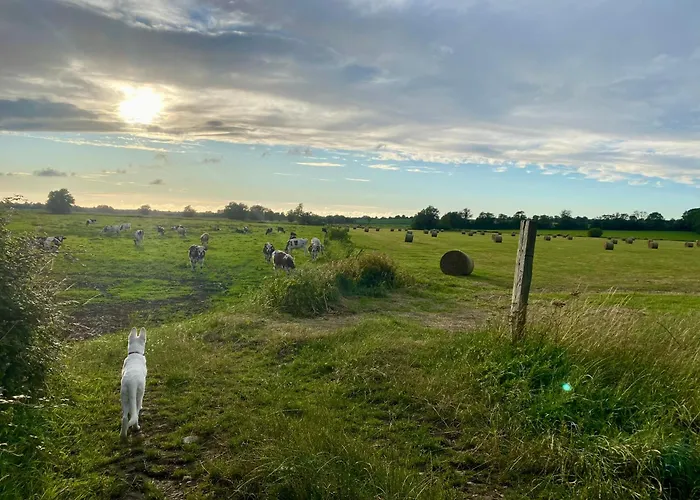 De Jeanne - Le Refuge Des Parachutistes - En Bordure Du Marais Neuville-au-Plain